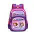 Cartoon Backpack - EVA Pocket School Bag with Cars & Characters for Kids